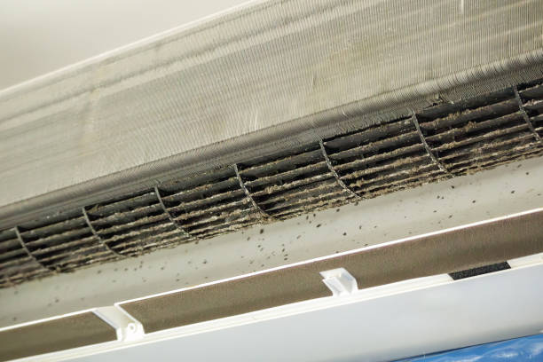 Best Affordable Air Duct Cleaning  in Dunlap, IA